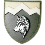 8th Guards Assault Battalion Patch