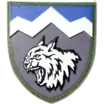 108th Mountain Assault Battalion Patch