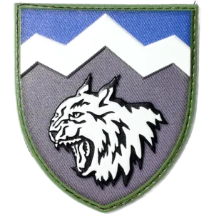 108th Mountain Assault Battalion Patch