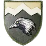 109th Mountain Assault Battalion Patch