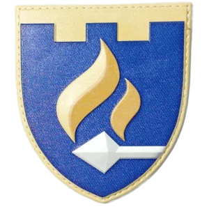 11th Special Purpose Battalion Patch