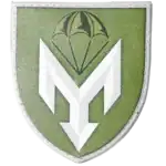 135th Air Assault Battalion Patch