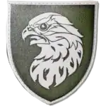 383rd UAV Battalion Patch