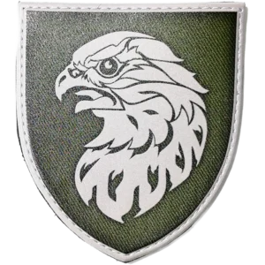 383rd UAV Battalion Patch