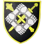 Support Forces Command Patch