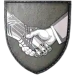 Civil-Military Cooperation Patch