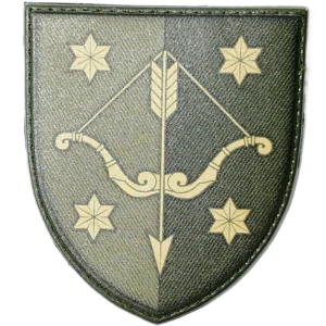 10th Army Corps Patch