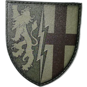 164th Radio-Technical Brigade Patch