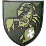 155th Mechanized Brigade Patch