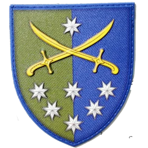 142nd Mechanized Brigade Patch