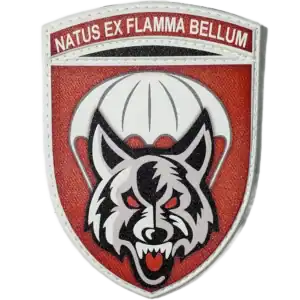 90th Airmobile Brigade Patch