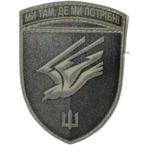 88th Marine Brigade Patch