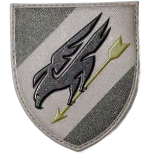 114th Tactical Aviation Brigade Patch