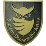 Ukrainian Military Intelligence Owl Patch