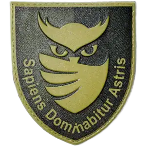 Ukrainian Military Intelligence Owl Patch