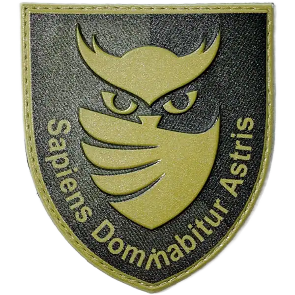 Ukrainian Military Intelligence Owl Patch