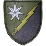 58th Electronic Warfare Node Patch