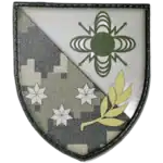 57th Signal and Radar Support Regiment Patch