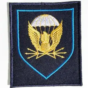 38th Guards Signal Brigade Patch