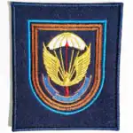 31st Air Assault Brigade Patch