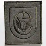 Russian Special Operations Forces Patch