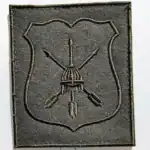 Special Operations Forces Patch