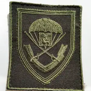 104th Guards Air Assault Regiment Patch