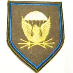 Russian 38th Signal Regiment patch airborne VDV insignia 9x7cm