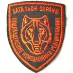 Security battalion patch rapid response unit 10×8cm Russian badge