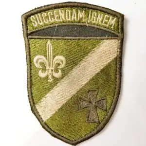 Ukrainian 130th Reconnaissance Battalion Patch 9,5×7 cm authentic combat worn insignia