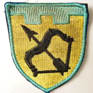 Ukrainian 113th Territorial Defense Patch 8×7 cm authentic combat worn insignia