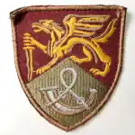 Ukrainian 71st Jaeger Brigade Patch 8×7 cm Combat Worn Trophy 8 Ukrainian 71st Jaeger Brigade Patch 8×7 cm authentic combat worn insignia