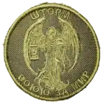 Russian Storm Fighting for Peace Patch 8cm olive battlefield insignia