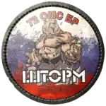 Russian 72nd Motor Rifle Brigade Leather STORM Patch 8cm 5 Russian 72nd Motor Rifle Brigade Patch 8cm bear emblem tricolor