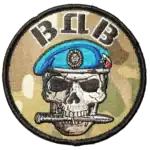 Russian VDV Skull Beret Patch 7.5cm 6 Russian VDV Skull Beret Patch 7.5cm with camouflage background