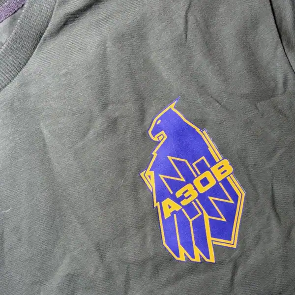 Ukrainian AZOV 3rd Brigade graphic t-shirt with alternative design linked to military context