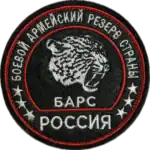 BARS Battalion Trophy Patch – Collectible Military Emblem 4 BARS Battalion Trophy Patch