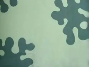 amoebacamo