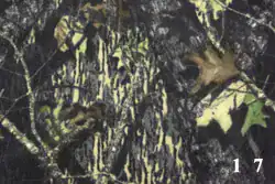 darkforest - Types of russian camouflages