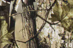 dub5 - Types of russian camouflages