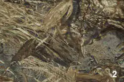 kam3 - Types of russian camouflages