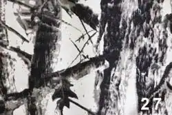 snow - Types of russian camouflages