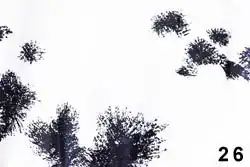 splatter - Types of russian camouflages