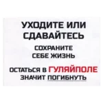 Huliaipole Encirclement Propaganda Leaflet with city map, red arrows, military symbols, and surrender warnings from the Russia–Ukraine conflict.