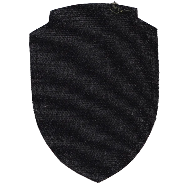Rusich DShRG Trophy Patch with embroidered Rusich and DShRG lettering, armed fighter imagery, drones, St George ribbon colors, and combat-related field design.